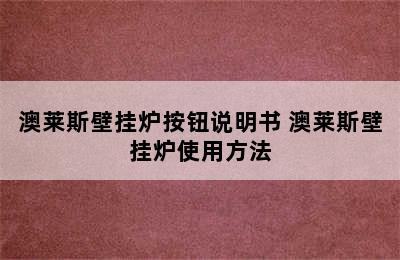 澳莱斯壁挂炉按钮说明书 澳莱斯壁挂炉使用方法